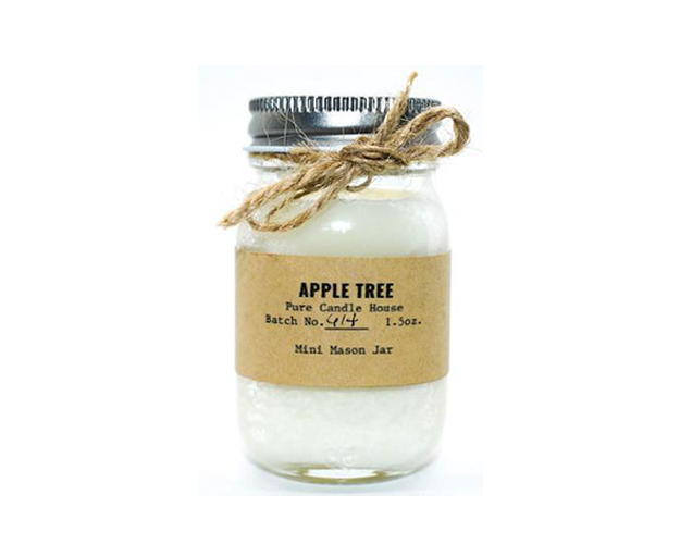 Apple Tree | Mini Mason Jar