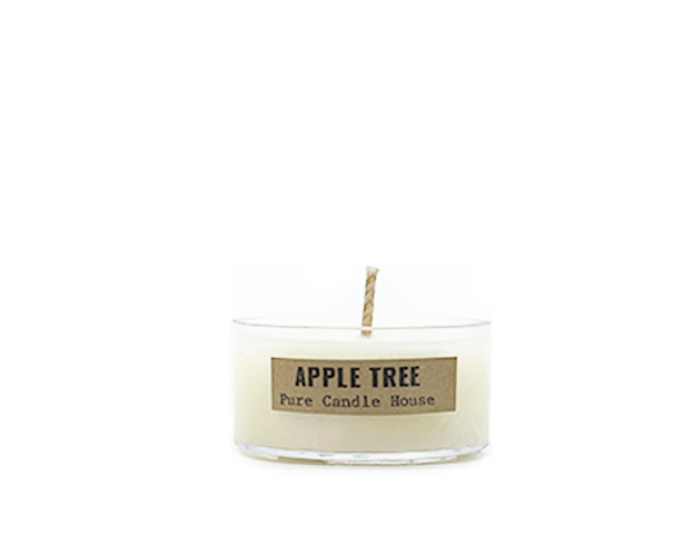 Apple Tree | Mini